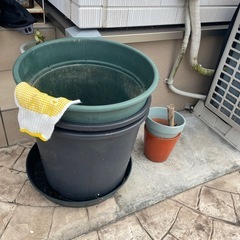 無料　大きめの植木鉢　の画像