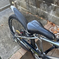 ジュニア自転車 あさひドライドS3 22シルバーの画像