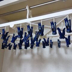 ローラーピンチらくとりハンガーの画像