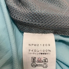 THE NORTH FACE スワローテイルフーディーの画像