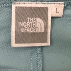 THE NORTH FACE スワローテイルフーディーの画像