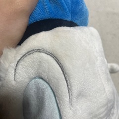 ドナルドファンキャップの画像