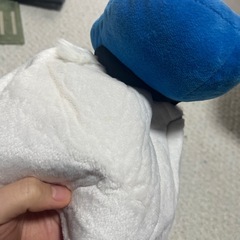 ドナルドファンキャップの画像