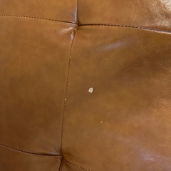 ソファーベッドの画像