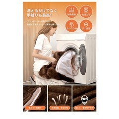 新品未使用！電気毛布 敷き 掛け兼用 188×130 丸洗い可能の画像