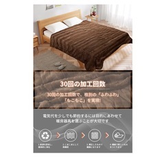 新品未使用！電気毛布 敷き 掛け兼用 188×130 丸洗い可能の画像