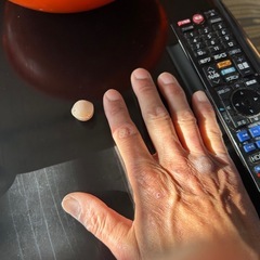 今年の銀杏の画像