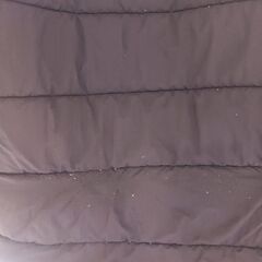 ザ・ノース・フェイスダウン（L）の画像