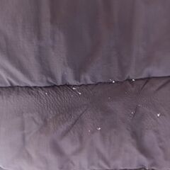 ザ・ノース・フェイスダウン（L）の画像