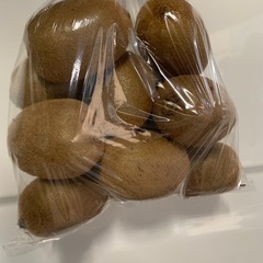 グリーン　キウイ　大中サイズ　の画像