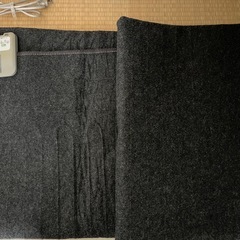 ホットカーペットの画像