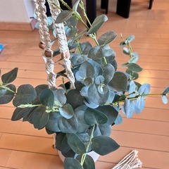 IKEA 造花　インテリアの画像