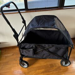 アウトドアワゴン わんちゃんを乗せれるの画像