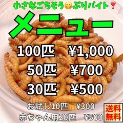 ミルワーム50匹②の画像