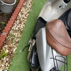 HONDA TODAY の画像