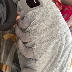 ダイオウグソクムシ　100センチの画像