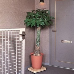 ラクゴロ　　キャスター付き　移動らくらく　の画像