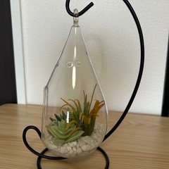 【ご検討中】植物のオブジェの画像