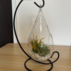 【ご検討中】植物のオブジェの画像