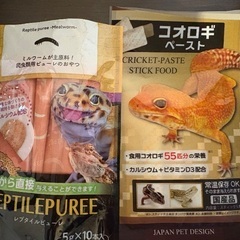 交渉中レオパ ゲージ 中古 暖突 温度管理 セット ヒョウモントカゲモドキの画像