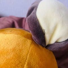 受け渡し予定者決定(15日16時半)の画像