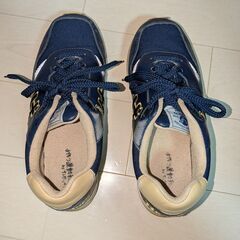 オリックスバファローズ　サンガッチョコラボ限定スニーカーの画像