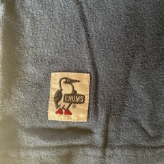 チャムス　ロンTの画像