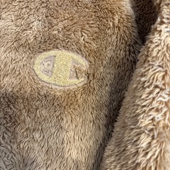 今年中処分Champion モコモココート レディースM ボア フリース の画像