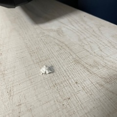 12/20まで　テレビ台　新宿区の画像