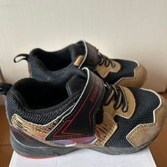 ムーンスター　17.0EEの画像