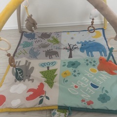 moz  Baby Gym Matの画像