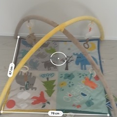 moz  Baby Gym Matの画像