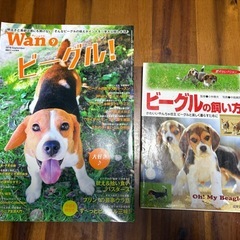 犬とペットの本7冊の画像