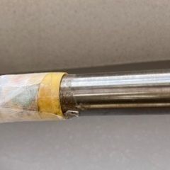 物干し竿　ステンレス製　4mの画像