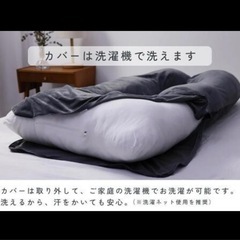 【引き取り限定】ハグモッチ HUGMOTTI 抱き枕 コットンネイビーの画像