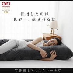 【引き取り限定】ハグモッチ HUGMOTTI 抱き枕 コットンネイビーの画像