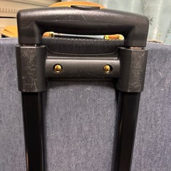 マーキュリーデュオ小さめキャリーの画像