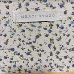 マーキュリーデュオ小さめキャリーの画像