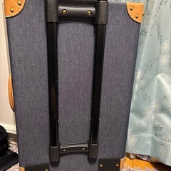 マーキュリーデュオ小さめキャリーの画像