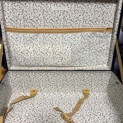 マーキュリーデュオ小さめキャリーの画像