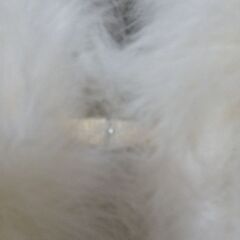 ★羽毛ショール★の画像