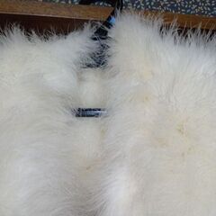 ★羽毛ショール★の画像