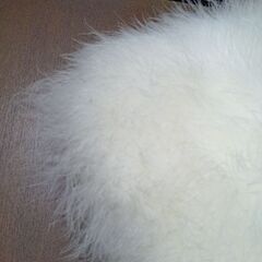 ★羽毛ショール★の画像