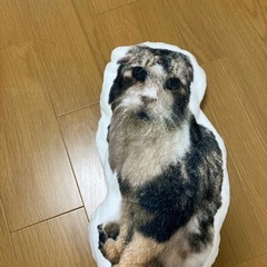猫　クッションの画像