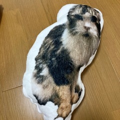 猫　クッションの画像
