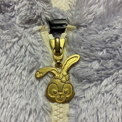 ディズニー　ステラルーのパーカー
の画像