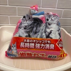 猫システムトイレと猫砂の画像