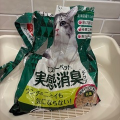 猫システムトイレと猫砂の画像