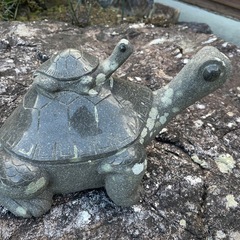 庭園 石 亀の画像
