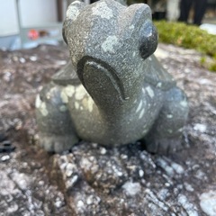 庭園 石 亀の画像